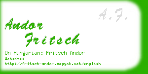 andor fritsch business card